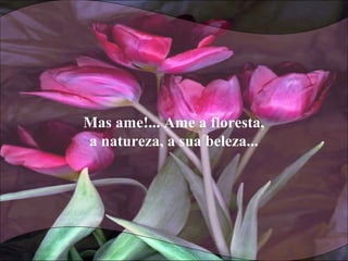 Mas ame!... Ame a floresta,
a natureza, a sua beleza...
 