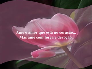 Ame o amor que está no coração...
Mas ame com força e devoção.
 