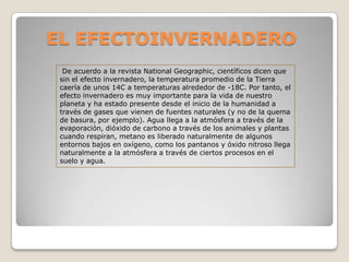 EL EFECTOINVERNADERO
  De acuerdo a la revista National Geographic, científicos dicen que
 sin el efecto invernadero, la temperatura promedio de la Tierra
 caería de unos 14C a temperaturas alrededor de -18C. Por tanto, el
 efecto invernadero es muy importante para la vida de nuestro
 planeta y ha estado presente desde el inicio de la humanidad a
 través de gases que vienen de fuentes naturales (y no de la quema
 de basura, por ejemplo). Agua llega a la atmósfera a través de la
 evaporación, dióxido de carbono a través de los animales y plantas
 cuando respiran, metano es liberado naturalmente de algunos
 entornos bajos en oxígeno, como los pantanos y óxido nitroso llega
 naturalmente a la atmósfera a través de ciertos procesos en el
 suelo y agua.
 