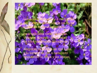 Volverás a mi huerto y a mi higuera: 
por los altos andamios de las flores 
pajareará tu alma colmenera 
Volverás a mi huerto y a mi higuera: 
por los altos andamios de las flores 
pajareará tu alma colmenera 
de angelicales ceras y labores. 
Volverás al arrullo de las rejas 
de los enamorados labradores. 
de angelicales ceras y labores. 
Volverás al arrullo de las rejas 
de los enamorados labradores. 
Alegrarás la sombra de mis cejas, 
y tu sangre se irán a cada lado 
disputando tu novia y las abejas. 
 