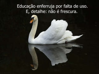 Educação enferruja por falta de uso. E, detalhe: não é frescura.  