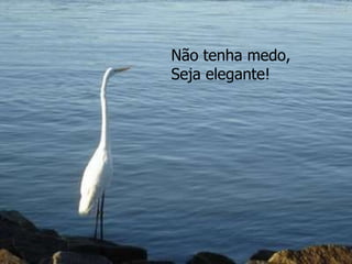 Não tenha medo, Seja elegante!   