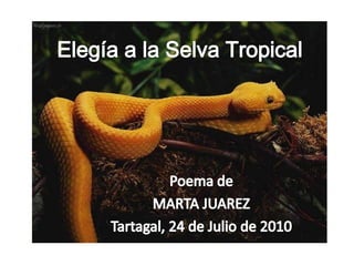 Elegía a la Selva Tropical Poema de MARTA JUAREZ Tartagal, 24 de Julio de 2010 