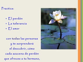 Practica: El perdón La tolerancia El amor  con  todas  las personas y te sorprenderá el descubrir, cómo cada azucena de perdón que ofreces a tu hermano, regresa a ti, como un regalo de paz, tolerancia y amor. 