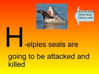H-elples seals are
going to be attacked and
killed
This is the Great
White Shark
Eating a seal