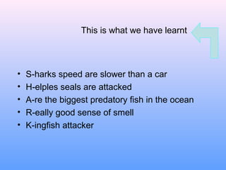 This is what we have learnt
• S-harks speed are slower than a car
• H-elples seals are attacked
• A-re the biggest predatory fish in the ocean
• R-eally good sense of smell
• K-ingfish attacker