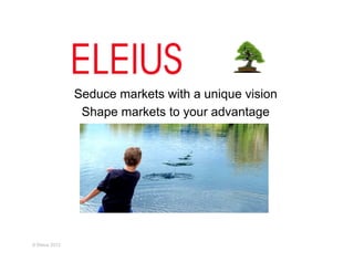 Seduce markets with a unique vision
Shape markets to your advantage

© Eleius 2013

 