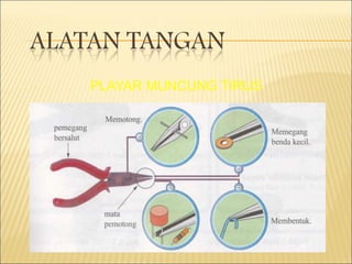 PLAYAR MUNCUNG TIRUS 