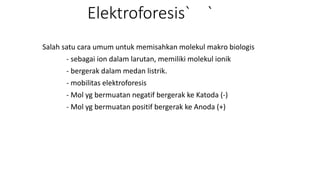 Elektroforesis` `
Salah satu cara umum untuk memisahkan molekul makro biologis
- sebagai ion dalam larutan, memiliki molekul ionik
- bergerak dalam medan listrik.
- mobilitas elektroforesis
- Mol yg bermuatan negatif bergerak ke Katoda (-)
- Mol yg bermuatan positif bergerak ke Anoda (+)
 