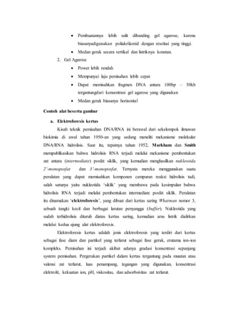  Pembuatannya lebih sulit dibanding gel agarose, karena
biasanyadigunakan poliakrilamid dengan resolusi yang tinggi.
 Medan gerak secara vertikal dan listriknya konstan.
2. Gel Agarose
 Power lebih rendah
 Mempunyai laju pemisahan lebih cepat
 Dapat memisahkan fragmen DNA antara 100bp – 50kb
tergantungdari konsentrasi gel agarose yang digunakan
 Medan gerak biasanya horisontal
Contoh alat beserta gambar
a. Elektroforesis kertas
Kisah teknik pemisahan DNA/RNA ini berawal dari sekelompok ilmuwan
biokimia di awal tahun 1950-an yang sedang meneliti mekanisme molekular
DNA/RNA hidrolisis. Saat itu, tepatnya tahun 1952, Markham dan Smith
mempublikasikan bahwa hidrolisis RNA terjadi melalui mekanisme pembentukan
zat antara (intermediate) posfat siklik, yang kemudian menghasilkan nukleosida
2’-monoposfat dan 3’-monoposfat. Ternyata mereka menggunakan suatu
peralatan yang dapat memisahkan komponen campuran reaksi hidrolisis tadi,
salah satunya yaitu nukleotida ‘siklik’ yang membawa pada kesimpulan bahwa
hidrolisis RNA terjadi melalui pembentukan intermediate posfat siklik. Peralatan
itu dinamakan ‘elektroforesis’, yang dibuat dari kertas saring Whatman nomor 3,
sebuah tangki kecil dan berbagai larutan penyangga (buffer). Nukleotida yang
sudah terhidrolisis ditaruh diatas kertas saring, kemudian arus listrik dialirkan
melalui kedua ujung alat elektroforesis.
Elektroforesis kertas adalah jenis elektroforesis yang terdiri dari kertas
sebagai fase diam dan partikel yang terlarut sebagai fase gerak, erutama ion-ion
kompleks. Pemisahan ini terjadi akibat adanya gradasi konsentrasi sepanjang
system pemisahan. Pergerakan partikel dalam kertas tergantung pada muatan atau
valensi zat terlarut, luas penampang, tegangan yang digunakan, konsentrasi
elektrolit, kekuatan ion, pH, viskositas, dan adsorbsivitas zat terlarut.
 
