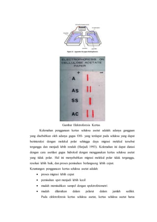 Gambar Elektroforesis Kertas
Kelemahan penggunaan kertas selulosa asetat adalah: adanya gangguan
yang disebabkan oleh adanya gugus OH- yang terdapat pada selulosa yang dapat
berinteraksi dengan molekul polar sehingga daya migrasi molekul tersebut
terganggu dan menjadi lebih rendah (Harjadi 1993). Kelemahan ini dapat diatasi
dengan cara asetilasi gugus hidroksil dengan menggunakan kertas selulosa asetat
yang tidak polar. Hal ini menyebabkan migrasi molekul polar tidak terganggu,
resolusi lebih baik, dan proses pemisahan berlangsung lebih cepat.
Keuntungan penggunaan kertas selulosa asetat adalah:
 proses migrasi lebih cepat
 pemisahan spot menjadi lebih kecil
 mudah memisahkan sampel dengan spektrofotometri
 mudah dilarutkan dalam pelarut dalam jumlah sedikit.
Pada elektroforesis kertas selulosa asetat, kertas selulosa asetat harus
 