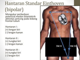 Hantaran Standar Einthoven
(bipolar)
Mengukur perbedaan
potensial medan bioelektrik
aktivitas jantung pada bidang
frontal tubuh
Hantaran I :
(+) lengan kiri
(-) lengan kanan
Hantaran II :
(+) tungkai kiri
(-) lengan kanan
Hantaran III :
(+) tungkai kiri
(-) lengan kiri
 