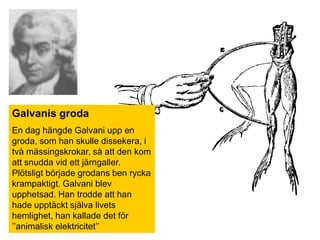 Galvanis grodaEn dag hängde Galvani upp en groda, som han skulle dissekera, i två mässingskrokar, så att den kom att snudda vid ett järngaller. Plötsligt började grodans ben rycka krampaktigt. Galvani blev upphetsad. Han trodde att han hade upptäckt själva livets hemlighet, han kallade det för ’’animalisk elektricitet’’