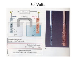 Sel Volta
 