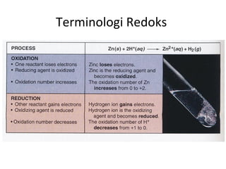 Terminologi Redoks
 