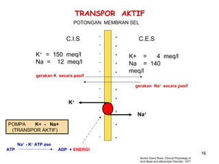 TRANSPOR AKTIF
POTONGAN MEMBRAN SEL
+
+

-

+

-

+

-

K+ = 150 meq/l
Na = 12 meq/l

-

C.I.S

+

gerakan K secara pasif
-

+

K+ =
4 meq/l
Na = 140
meq/l
gerakan Na+ secara pasif

+

-

K

+

C.E.S

+

POMPA
K+ - Na+
(TRANSPOR AKTIF)

Na+

+
-

+

Na+ - K+ ATP ase
ATP

ADP + ENERGI

16
Burton Davis Rose, Clinical Physiology of
Acid Base and ellectrolyte Disorder, 1977

 
