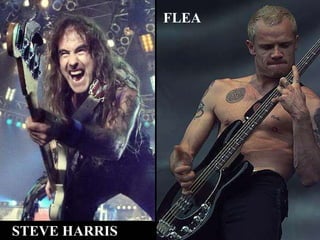 STEVE HARRIS FLEA 
