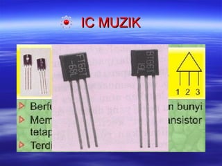 IC MUZIK

 