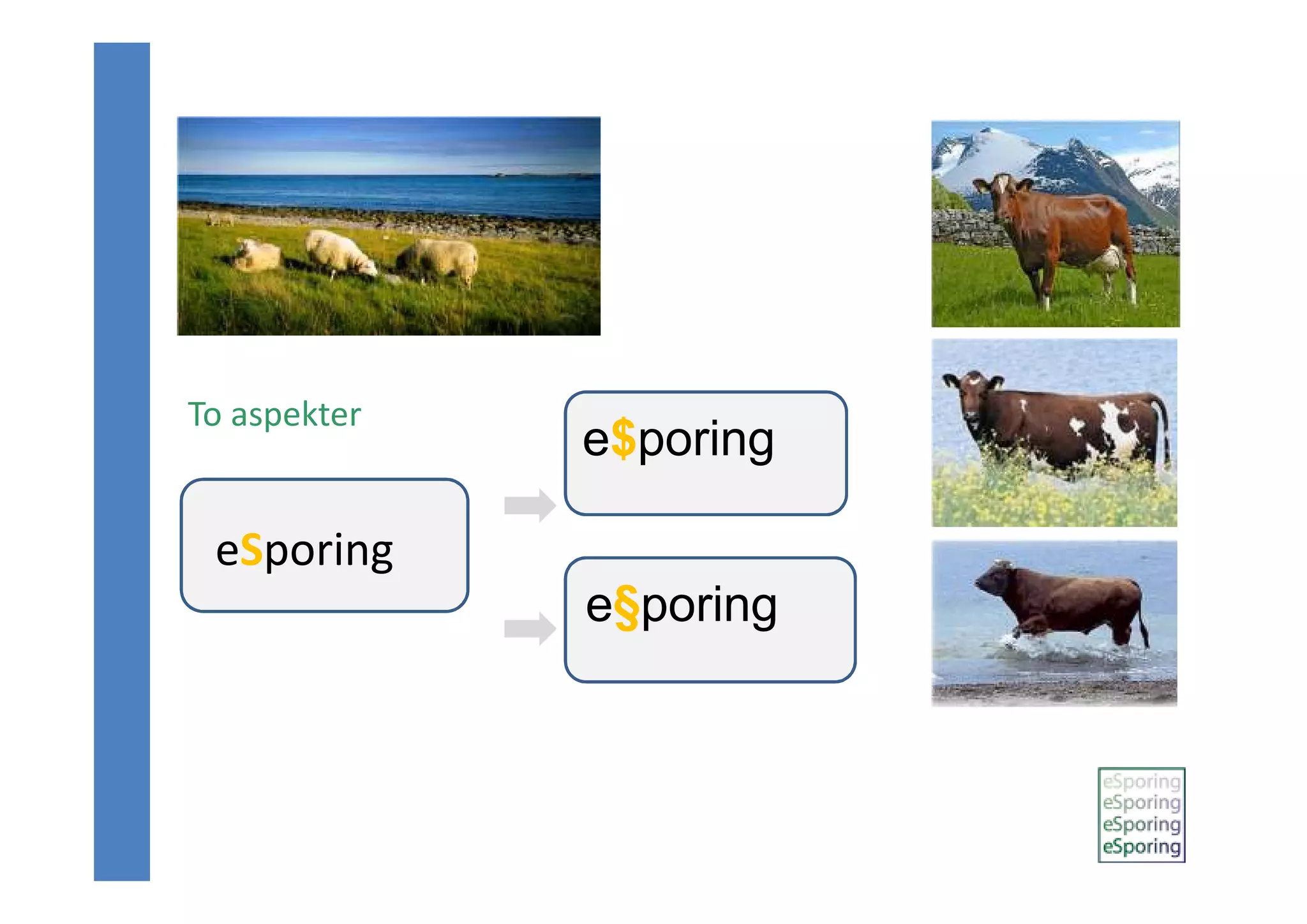 Elektronisk infrastruktur for sporing av mat, astrid karlsen