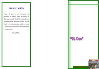 ÁREA : Ciencia Tecnología y Ambiente
GRADO : 3º
SECCIÓN : “A”
PROFESORA : Mabel La Rosa Noriega.
ALUMNA : Kelly Baltazar Lezama.
AÑO:
PRESENTACIÓN
Tengo el gusto y el entusiasmo de
presentar mi trabajo sobre la semana de
“La vida Animal” EL OSO, realizado por
la alumna Nelly Baltasar Lezama del 3er
Grado “A”, esperando que sea de su grado
y agradezco de antemano su colaboración
y comprensión.
GRACIAS…
El desarrollo evolutivo de los mamíferos ha
sido relativamente rápido y en apenas 70
millones de años han conseguido expandirse y
diversificarse para dar la actual riqueza de
formas. Este árbol genealógico nos lo
demuestra claramente.
EL OSO
El oso como mamífero pantigrado de pelaje
largo, cabeza grande, extremidades fuertes
con uñas ganchosas y cola muy corta.
Existen varias especies que se distinguen por
tamaño y de color de pelo.
Han evolucionado de carnívoros a
predominantemente herbívoros (salvo el oso
polar). Su cuerpo es grande y pesado con
incisivos no especializados, caninos largos,
premolares ausentes o reducidos y molares
anchos para triturar. Anda sobre las plantas
y los pies (son plantígrados). Las uñas
curvadas y no retractiles sirven para agarrar
el alimento y para trepar. Poseen 5 dedos en
las cuatro extremidades son esencialmente
solitarios, se distingue 7 especies de osos
que residen en el ártico, en Norteamérica, en
Europa, Asia y América del sur.
AGRADECIMIENTO
Agradezco a todos los profesores de esta
institución educativa “San Martín de Porres”
en especial a la profesora Mabel, por su
orientación y apoyo incondicional.
Asímismo a mis padres por su apoyo
contínuo y desinteresado en nuestra
formación.
LEMA:
Amor, Fe y Estudio
SEMANA DE LA VIDA ANIMAL“Año del Deber Ciudadano”
 