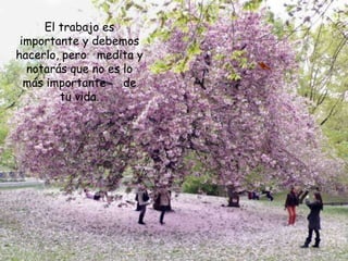 El trabajo es
 importante y debemos
hacerlo, pero medita y
  notarás que no es lo
  más importante de
        tu vida.
 