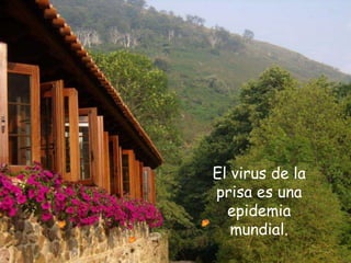 El virus de la
prisa es una
  epidemia
   mundial.
 