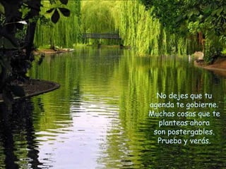 No dejes que tu
agenda te gobierne.
Muchas cosas que te
  planteas ahora
 son postergables.
  Prueba y verás.
 