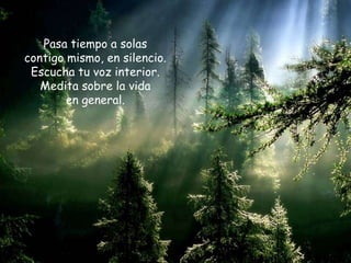 Pasa tiempo a solas
contigo mismo, en silencio.
 Escucha tu voz interior.
   Medita sobre la vida
        en general.
 