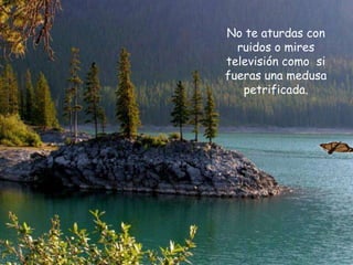 No te aturdas con
  ruidos o mires
televisión como si
fueras una medusa
   petrificada.
 