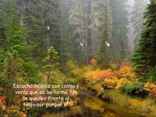 Escucha música con calma y
 verás que es bellísima. No
    te quedes frente al
    televisor porque sí.
 