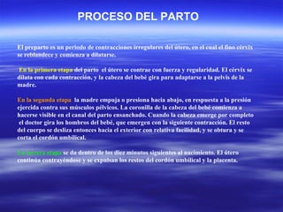 El preparto es un periodo de contracciones irregulares del útero, en el cual el fino cérvix se reblandece y comienza a dilatarse. En la primera etapa  del parto  el útero se contrae con fuerza y regularidad. El cérvix se dilata con cada contracción, y la cabeza del bebé gira para adaptarse a la pelvis de la madre.  En la segunda etapa   la madre empuja o presiona hacia abajo, en respuesta a la presión ejercida contra sus músculos pélvicos. La coronilla de la cabeza del bebé comienza a hacerse visible en el canal del parto ensanchado. Cuando la cabeza emerge por completo  el doctor gira los hombros del bebé, que emergen con la siguiente contracción. El resto del cuerpo se desliza entonces hacia el exterior con relativa facilidad, y se obtura y se corta el cordón umbilical.  La tercera etapa  se da dentro de los diez minutos siguientes al nacimiento. El útero continúa contrayéndose y se expulsan los restos del cordón umbilical y la placenta. PROCESO DEL PARTO 