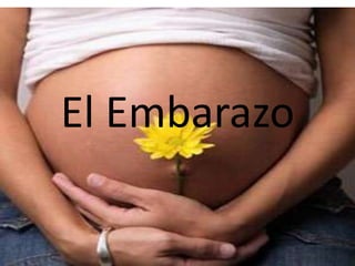 El Embarazo
 