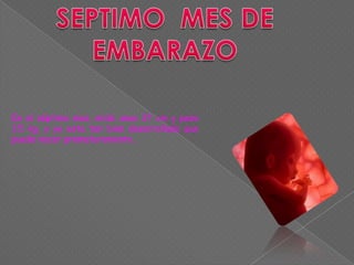 En el séptimo mes, mide unos 37 cm y peso
1.5 kg, y ya esta tan bien desarrollado que
puede nacer prematuramente .
 