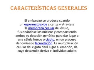 Características generales
El embarazo se produce cuando
un espermatozoide alcanza y atraviesa
la membrana celular del óvulo,
fusionándose los núcleos y compartiendo
ambos su dotación genética para dar lugar a
una célula huevo o cigoto, en un proceso
denominado fecundación. La multiplicación
celular del cigoto dará lugar al embrión, de
cuyo desarrollo deriva el individuo adulto
 