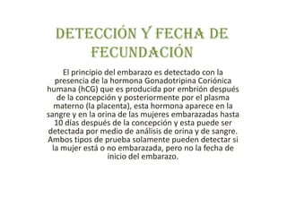 Detección y fecha de
fecundación
El principio del embarazo es detectado con la
presencia de la hormona Gonadotripina Coriónica
humana (hCG) que es producida por embrión después
de la concepción y posteriormente por el plasma
materno (la placenta), esta hormona aparece en la
sangre y en la orina de las mujeres embarazadas hasta
10 días después de la concepción y esta puede ser
detectada por medio de análisis de orina y de sangre.
Ambos tipos de prueba solamente pueden detectar si
la mujer está o no embarazada, pero no la fecha de
inicio del embarazo.
 