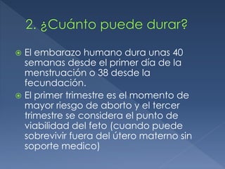  El embarazo humano dura unas 40
semanas desde el primer día de la
menstruación o 38 desde la
fecundación.
 El primer trimestre es el momento de
mayor riesgo de aborto y el tercer
trimestre se considera el punto de
viabilidad del feto (cuando puede
sobrevivir fuera del útero materno sin
soporte medico)
 