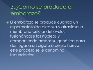  El embarazo se produce cuando un
espermatozoide alcanza y atraviesa la
membrana celular del óvulo,
fusionándose los núcleos y
compartiendo ambos su genética para
dar lugar a un cigoto o célula huevo,
este proceso se le denomina
fecundación
 