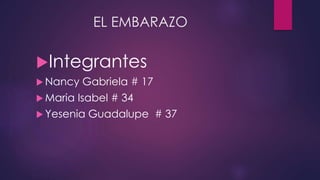 EL EMBARAZO
Integrantes
 Nancy Gabriela # 17
 Maria Isabel # 34
 Yesenia Guadalupe # 37
 
