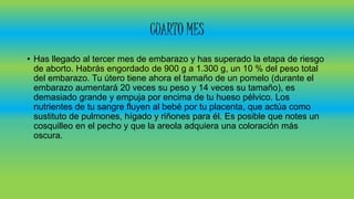 CUARTO MES
• Has llegado al tercer mes de embarazo y has superado la etapa de riesgo
de aborto. Habrás engordado de 900 g a 1.300 g, un 10 % del peso total
del embarazo. Tu útero tiene ahora el tamaño de un pomelo (durante el
embarazo aumentará 20 veces su peso y 14 veces su tamaño), es
demasiado grande y empuja por encima de tu hueso pélvico. Los
nutrientes de tu sangre fluyen al bebé por tu placenta, que actúa como
sustituto de pulmones, hígado y riñones para él. Es posible que notes un
cosquilleo en el pecho y que la areola adquiera una coloración más
oscura.
 