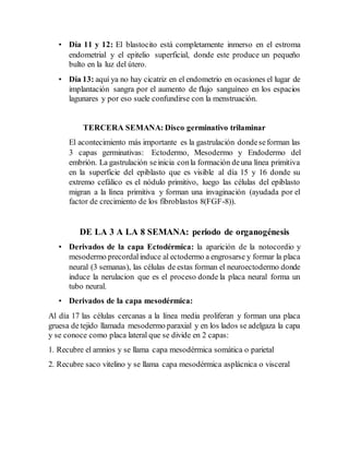 • Día 11 y 12: El blastocito está completamente inmerso en el estroma
endometrial y el epitelio superficial, donde este produce un pequeño
bulto en la luz del útero.
• Día 13: aquí ya no hay cicatriz en el endometrio en ocasiones el lugar de
implantación sangra por el aumento de flujo sanguíneo en los espacios
lagunares y por eso suele confundirse con la menstruación.
TERCERA SEMANA: Disco germinativo trilaminar
El acontecimiento más importante es la gastrulación dondeseforman las
3 capas germinativas: Ectodermo, Mesodermo y Endodermo del
embrión. La gastrulación seinicia conla formación deuna línea primitiva
en la superficie del epiblasto que es visible al día 15 y 16 donde su
extremo cefálico es el nódulo primitivo, luego las células del epiblasto
migran a la línea primitiva y forman una invaginación (ayudada por el
factor de crecimiento de los fibroblastos 8(FGF-8)).
DE LA 3 A LA 8 SEMANA: periodo de organogénesis
• Derivados de la capa Ectodérmica: la aparición de la notocordio y
mesodermo precordalinduce al ectodermo a engrosarse y formar la placa
neural (3 semanas), las células de estas forman el neuroectodermo donde
induce la nerulacion que es el proceso donde la placa neural forma un
tubo neural.
• Derivados de la capa mesodérmica:
Al día 17 las células cercanas a la línea media proliferan y forman una placa
gruesa de tejido llamada mesodermo paraxial y en los lados se adelgaza la capa
y se conoce como placa lateral que se divide en 2 capas:
1. Recubre el amnios y se llama capa mesodérmica somática o parietal
2. Recubre saco vitelino y se llama capa mesodérmica asplácnica o visceral
 
