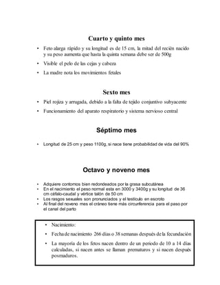 Cuarto y quinto mes
• Feto alarga rápido y su longitud es de 15 cm, la mitad del recién nacido
y su peso aumenta que hasta la quinta semana debe ser de 500g
• Visible el pelo de las cejas y cabeza
• La madre nota los movimientos fetales
Sexto mes
• Piel rojiza y arrugada, debido a la falta de tejido conjuntivo subyacente
• Funcionamiento del aparato respiratorio y sistema nervioso central
Séptimo mes
• Longitud de 25 cm y peso 1100g, si nace tiene probabilidad de vida del 90%
Octavo y noveno mes
• Adquiere contornos bien redondeados por la grasa subcutánea
• En el nacimiento el peso normal esta en 3000 y 3400g y su longitud de 36
cm céfalo-caudal y vértice talón de 50 cm
• Los rasgos sexuales son pronunciados y el testículo en escroto
• Al final del noveno mes el cráneo tiene más circunferencia para el paso por
el canal del parto
• Nacimiento:
• Fechade nacimiento 266 días o 38 semanas después dela fecundación
• La mayoría de los fetos nacen dentro de un periodo de 10 a 14 días
calculadas, si nacen antes se llaman prematuros y si nacen después
posmaduros.
 