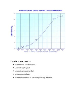 CAMBIOS DEL UTERO:
 Aumento del volumen total.
 Aumento de longitud.
 Aumento en su capacidad
 Aumento de su Peso
 Aumento de calibre de vasos sanguíneos y linfáticos.
 