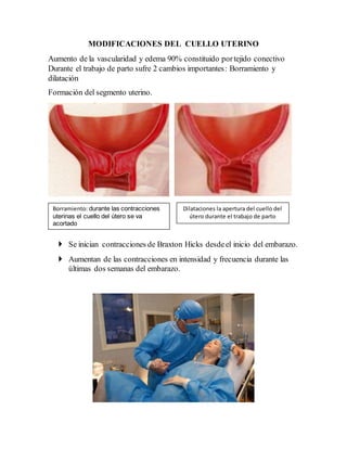 MODIFICACIONES DEL CUELLO UTERINO
Aumento de la vascularidad y edema 90% constituido portejido conectivo
Durante el trabajo de parto sufre 2 cambios importantes: Borramiento y
dilatación
Formación del segmento uterino.
CONTRACTILIDAD UTERINA:
 Se inician contracciones de Braxton Hicks desdeel inicio del embarazo.
 Aumentan de las contracciones en intensidad y frecuencia durante las
últimas dos semanas del embarazo.
Dilataciones la apertura del cuello del
útero durante el trabajo de parto
Borramiento: durante las contracciones
uterinas el cuello del útero se va
acortado
 