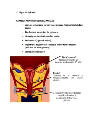  Signo de Piskacek
CAMBIOS ANATOMICOS DELAS MAMAS
• Las 1ras semanas se tornan turgentes con hipersensibilidaddel
pezón.
• 4ta. Semana aumentan de volumen.
• Hiperpigmentaciónde areolay pezón.
• Redvenosa(signode haller).
• Hipertrofiade glándulas sebáceas alrededor de areolas
(folículos de montgomery).
• Secreciónde calostro
Von Fernwald
Reblandecimiento en
Zona de implantación 4° y 5°
Goodell
Consiste en la cianosis y
reblandecimiento del cuello
uterino.
Coloración violácea de paredes
vaginales debido a la
congestión de los vasos
pélvicos.
 