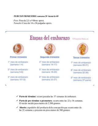 TERCER TRIMESTRE:semana28 hasta la 40
Peso: Pesa de 2,5 a 9 libras aprox.
Tamaño:Crece de 14 a 20 pulgadas aprox.
 Parto de término: ocurre pasadas las 37 semanas de embarazo.
 Parto de pre término o prematuro: ocurre entre las 22 y 36 semanas.
El recién nacido pesa menos de 2.500 gramos.
 Aborto: expulsión del producto dela concepciónque ocurre antes de
las 22 semanas o presenta un peso menor de 500 gramos
 