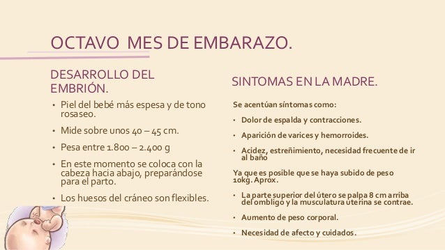 El Embarazo