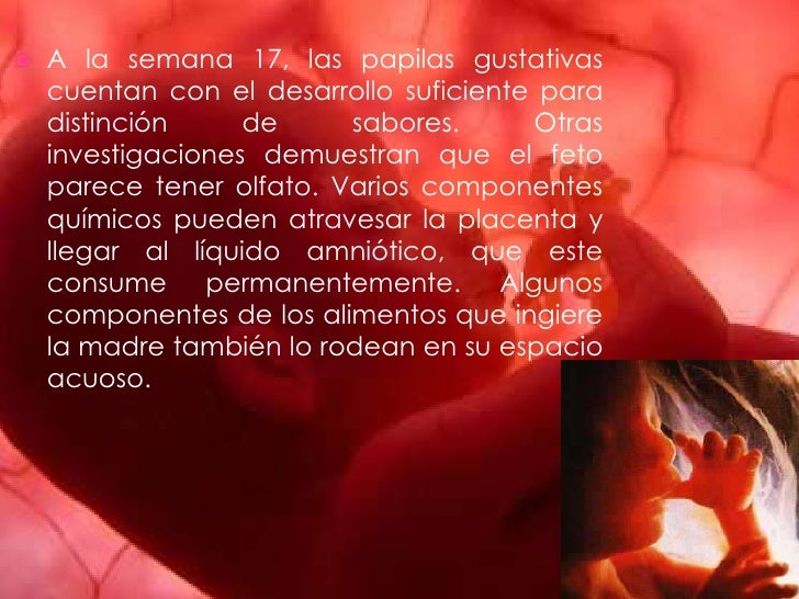La operación del ajuste del pecho implant