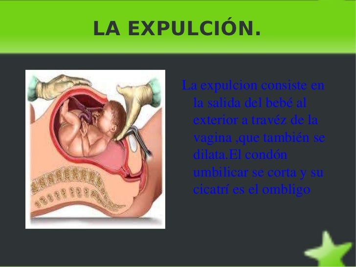 El embarazo.joraida ignacio