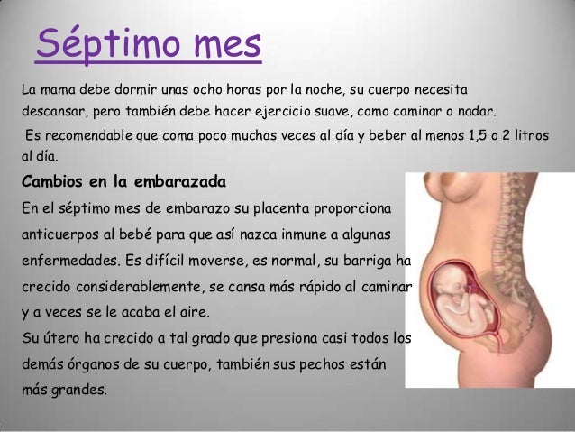 28 Semanas De Embarazo Bebe Posicion Transversal 28 Semanas De Embarazo Bebe Posicion Transversal