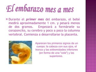 Durante el  primer mes  del embarazo, el bebé medirá aproximadamente 1 cm. y pesará menos de dos gramos.  Empezará a formársele su corazoncito, su cerebro y poco a poco la columna vertebral. Comienza a desarrollarse la placenta.   El embarazo mes a mes Aparecen los primeros signos de un cuerpo: la cabeza con sus ojos, el tronco y las extremidades inferiores (en forma de una "cola") y las superiores.   
